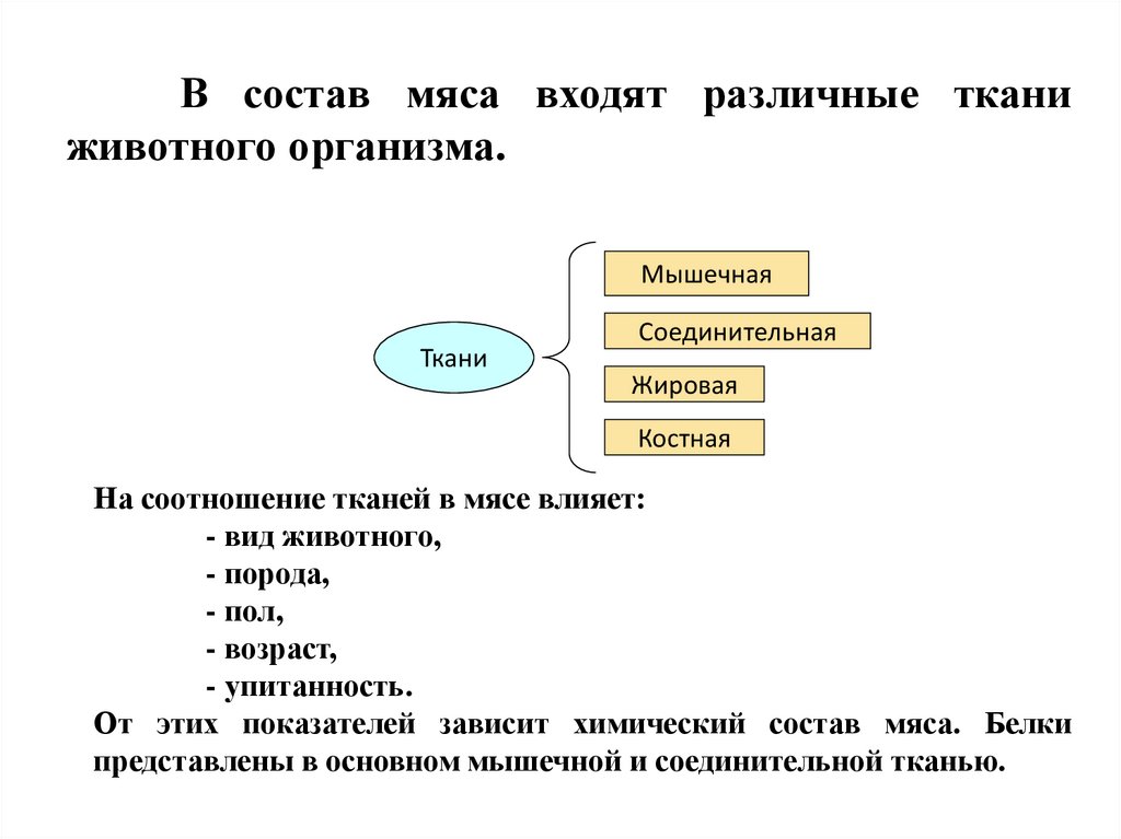 Товароведение мяса