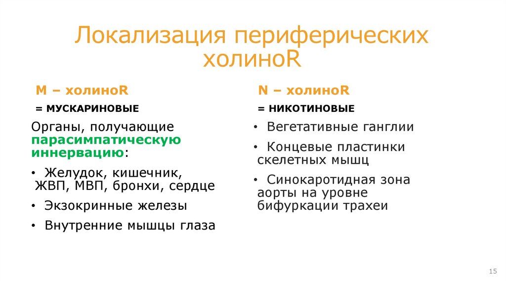 Влияние АХ (а значит и холиномиметиков) на постсинаптическую мембрану