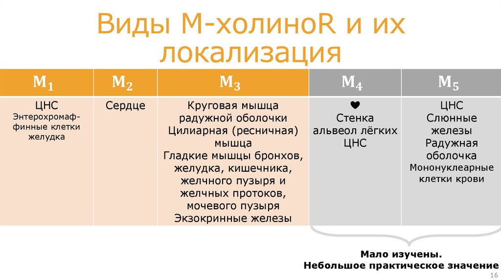 Влияние АХ (а значит и холиномиметиков) на постсинаптическую мембрану