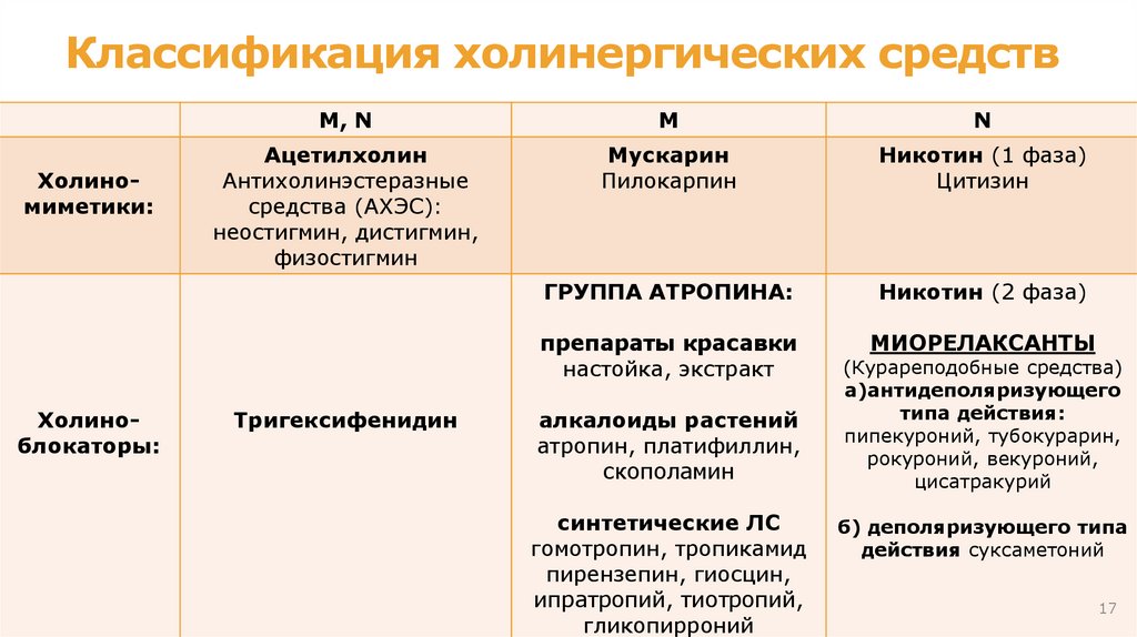 Локализация периферических холиноR