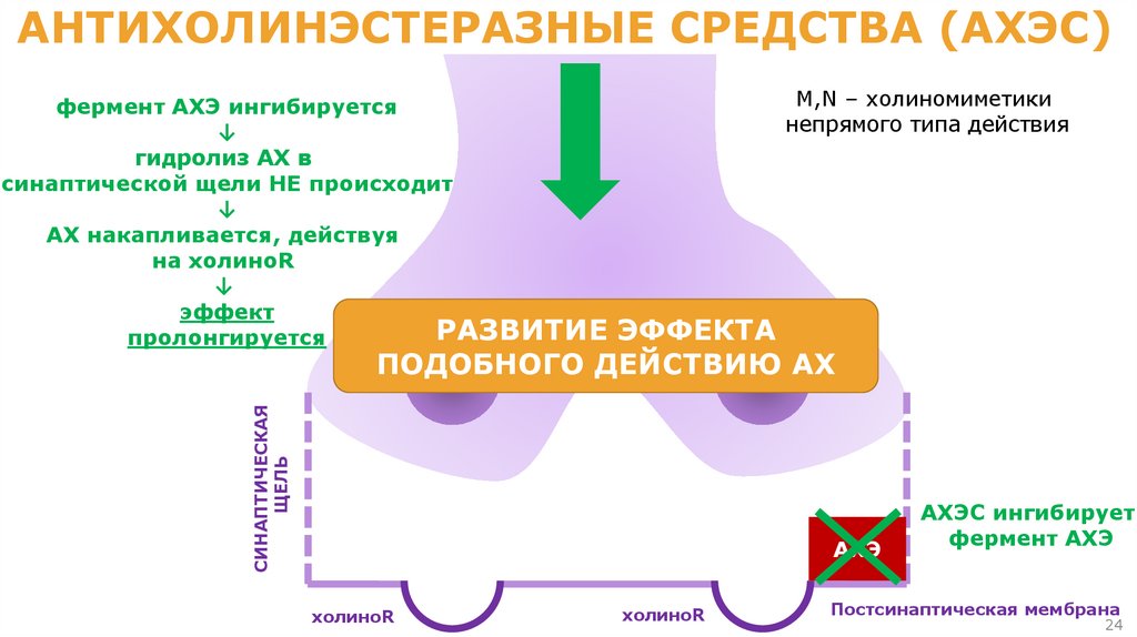 ОПП пилокарпина в глазной практике