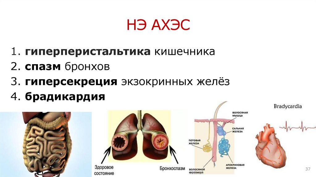 ОПП неостигмина (в таблетках)