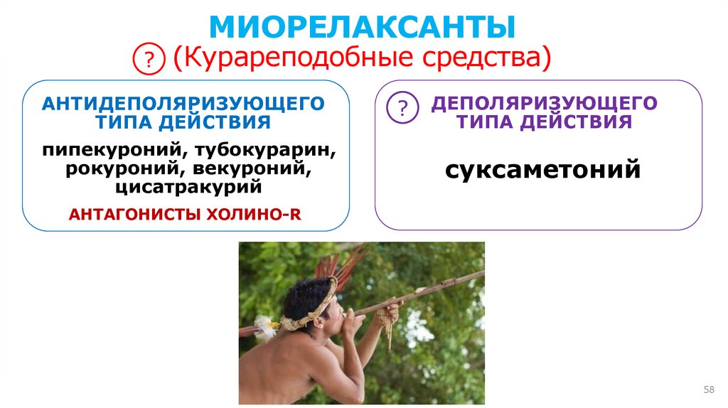 N-холиноR = никотиночувствительные