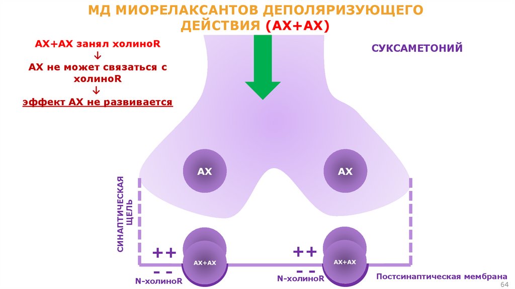 ОПП миорелаксантов