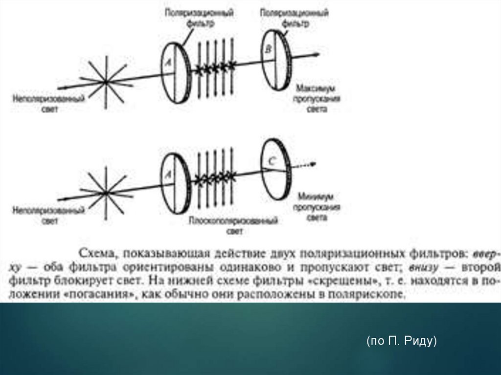 Оптическая схема полярископа