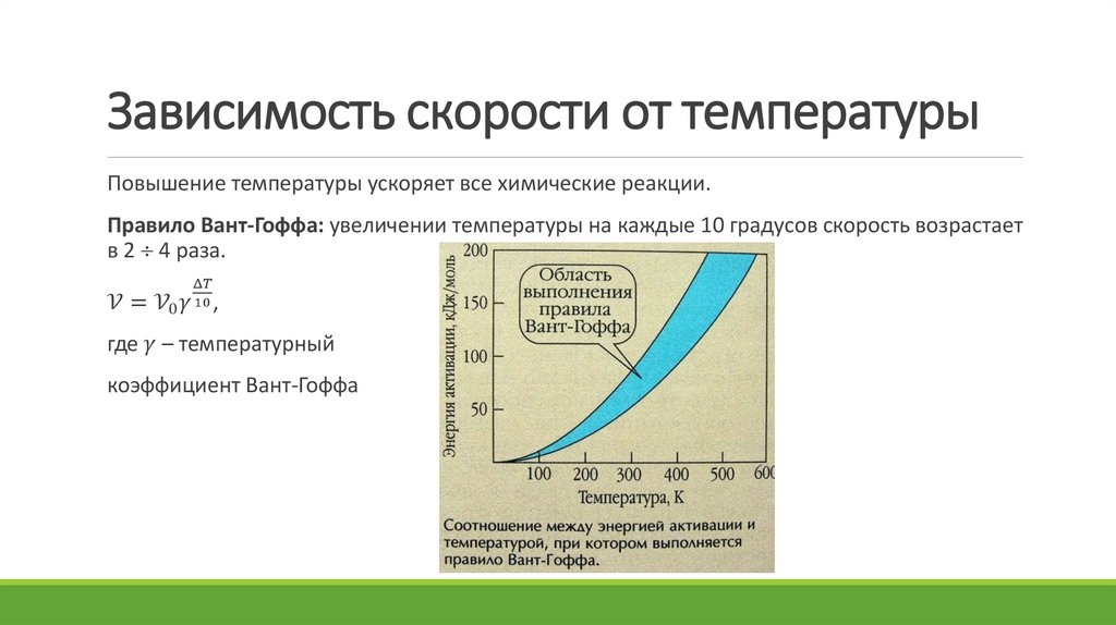 Скорость зависит от температуры. Кинетика ферментов.