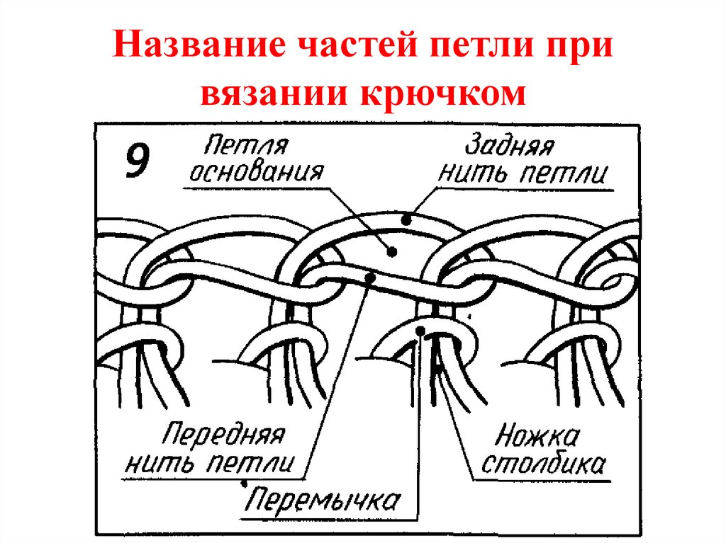 Как называется временная петля