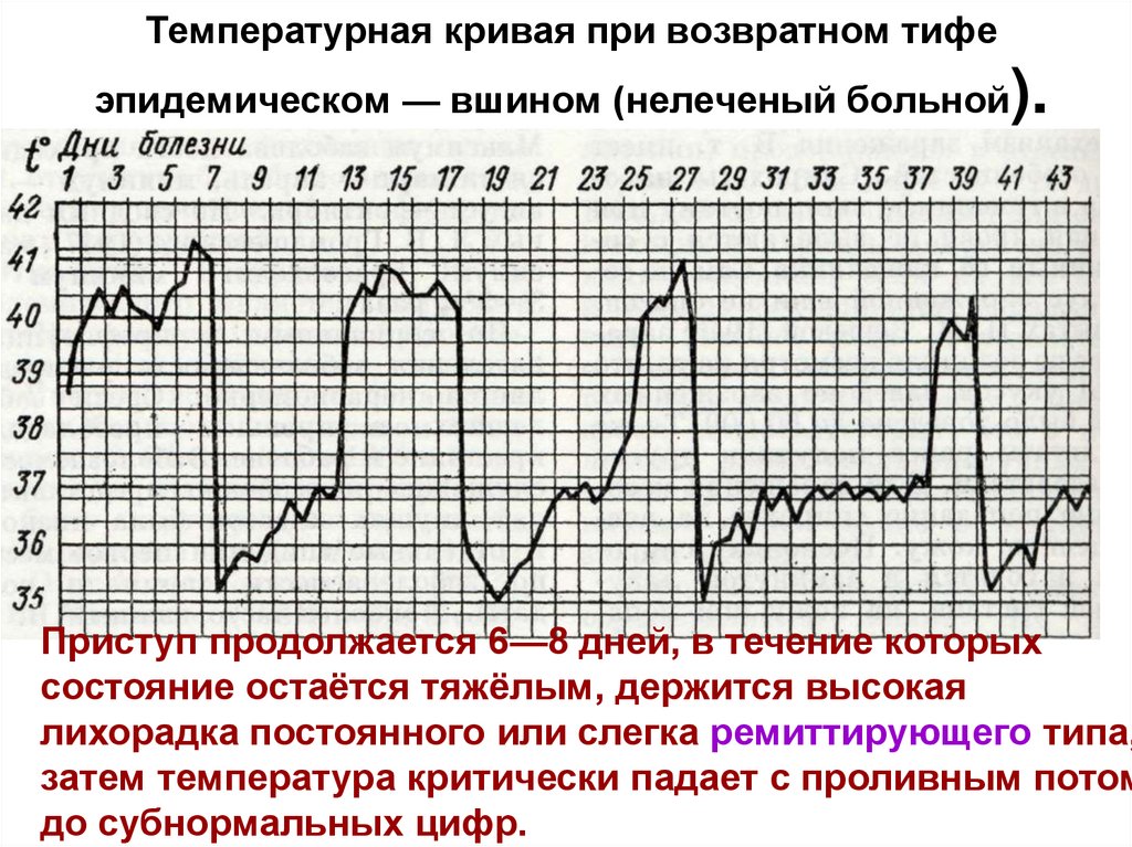 Температурные кривые