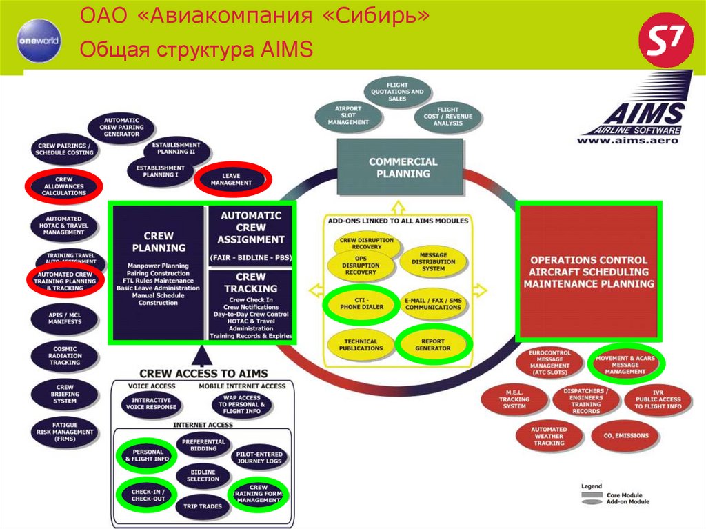 Структура авиакомпании схема