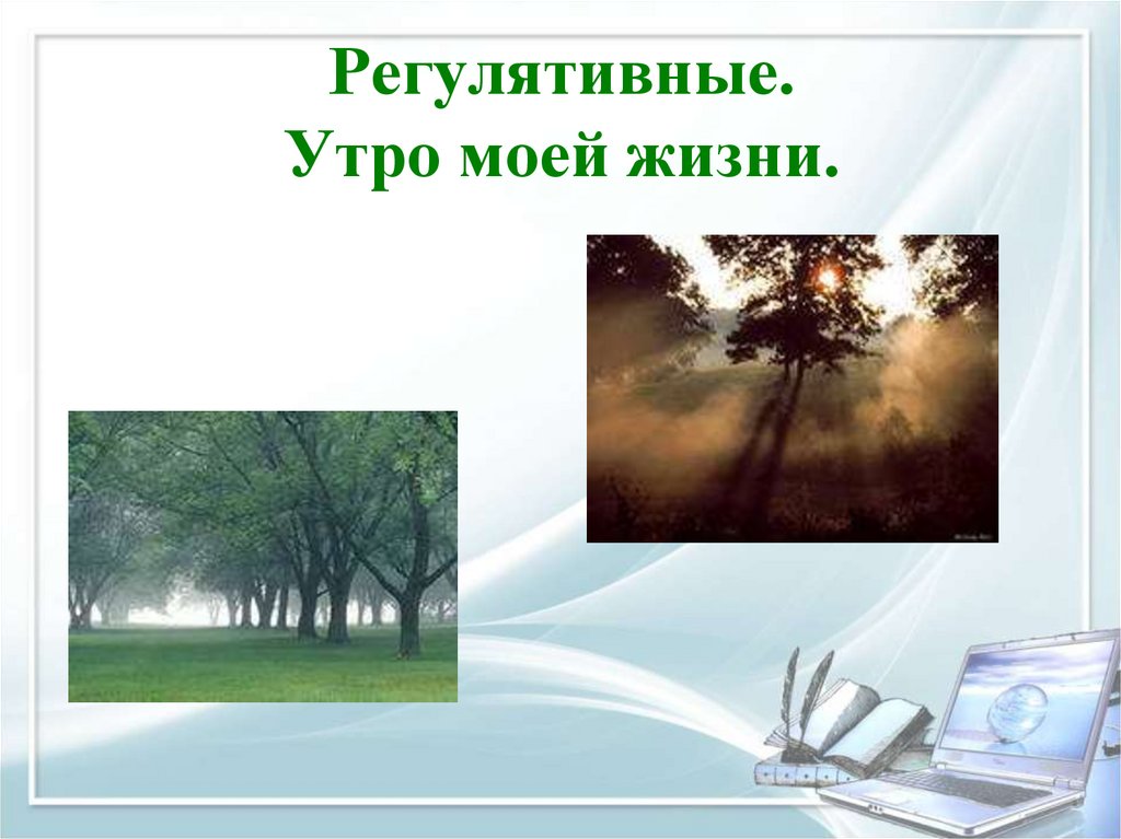 Регулятивные. Утро моей жизни.