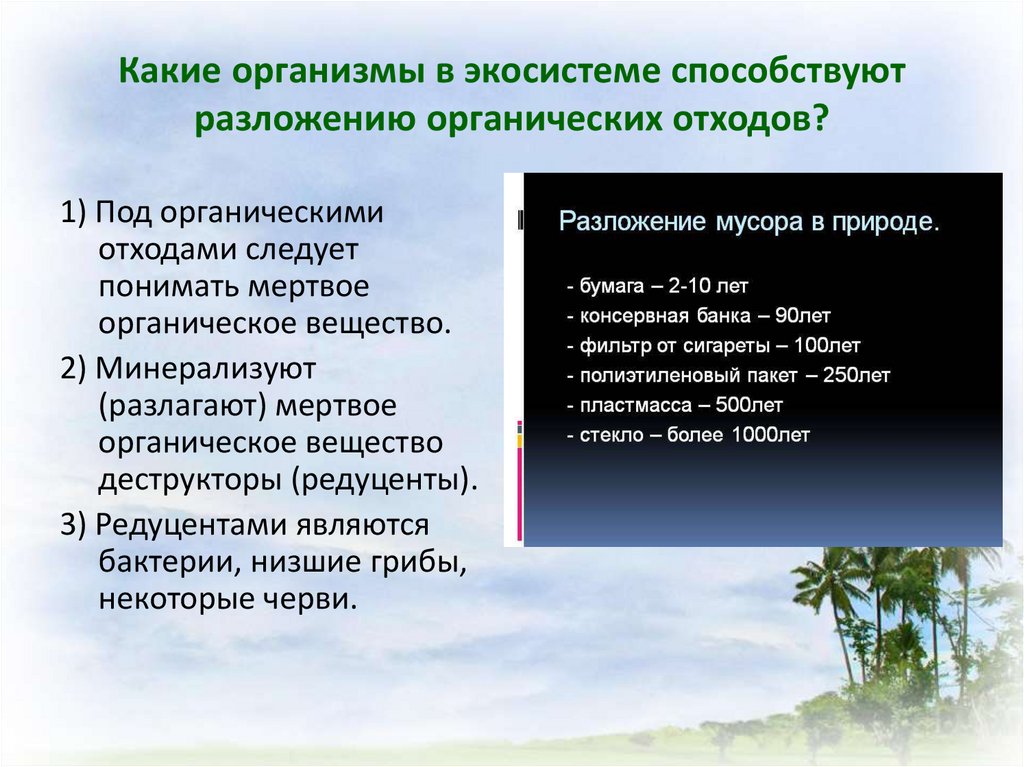 Примитивные организмы. Организмы минерализующие органические остатки. Разложение органики. Разлагают органические остатки в биогеоценозах.