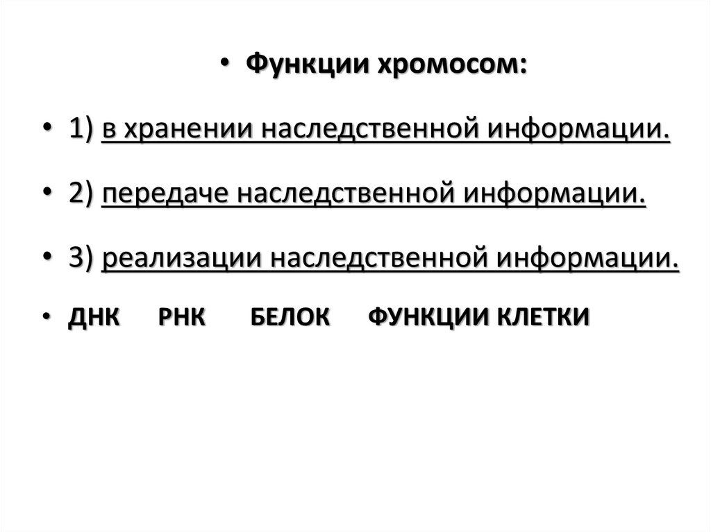 Какие функции выполняет хромосома. Функции. Строение клетки хромосомы. Строение метафазной хромосомы. Строение хромосомы и ее функции.