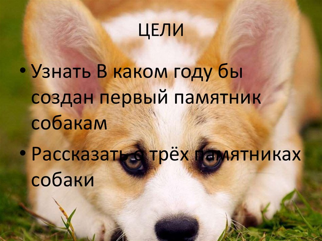 ЦЕЛИ