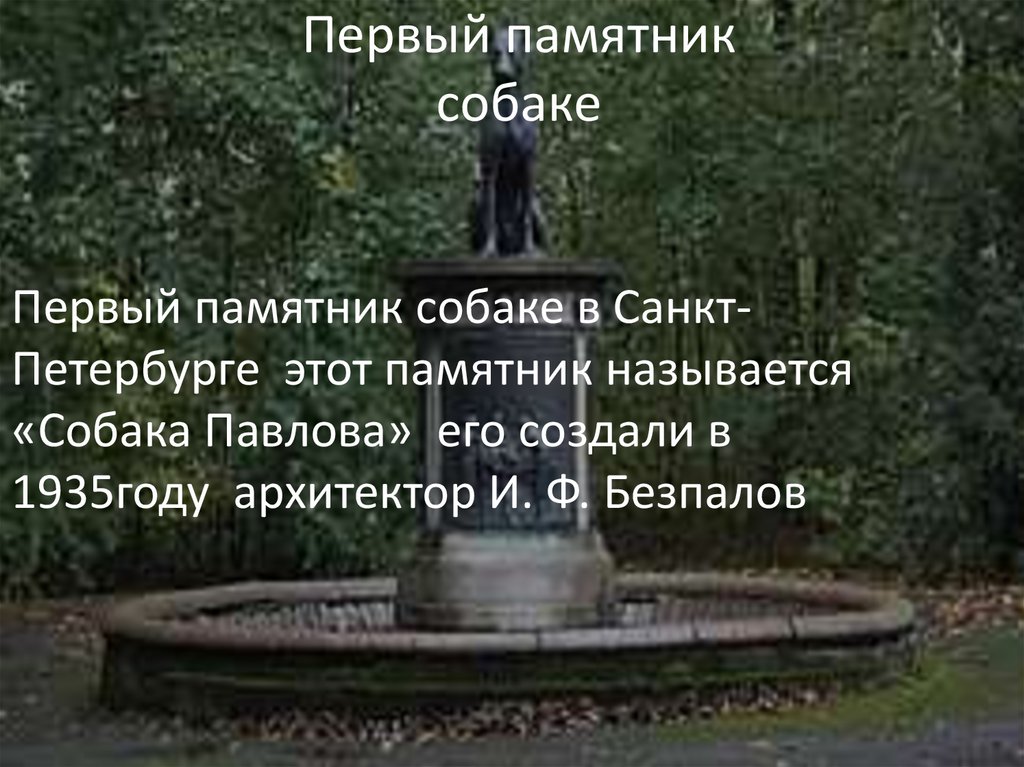 Первый памятник собаке