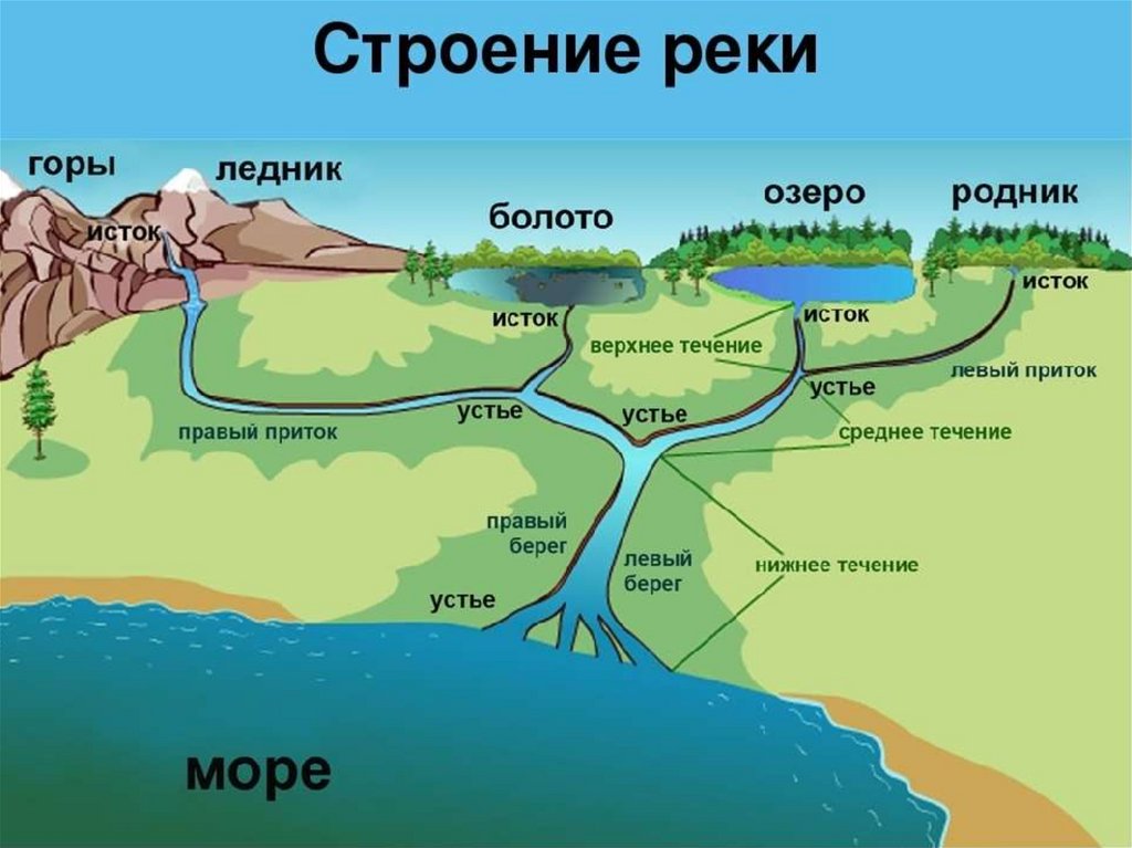 Соотнеси части речной системы с точками на изображении