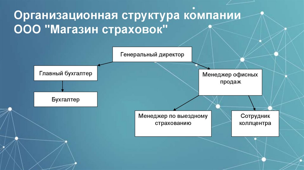 Организационная структура компании ООО "Магазин страховок"