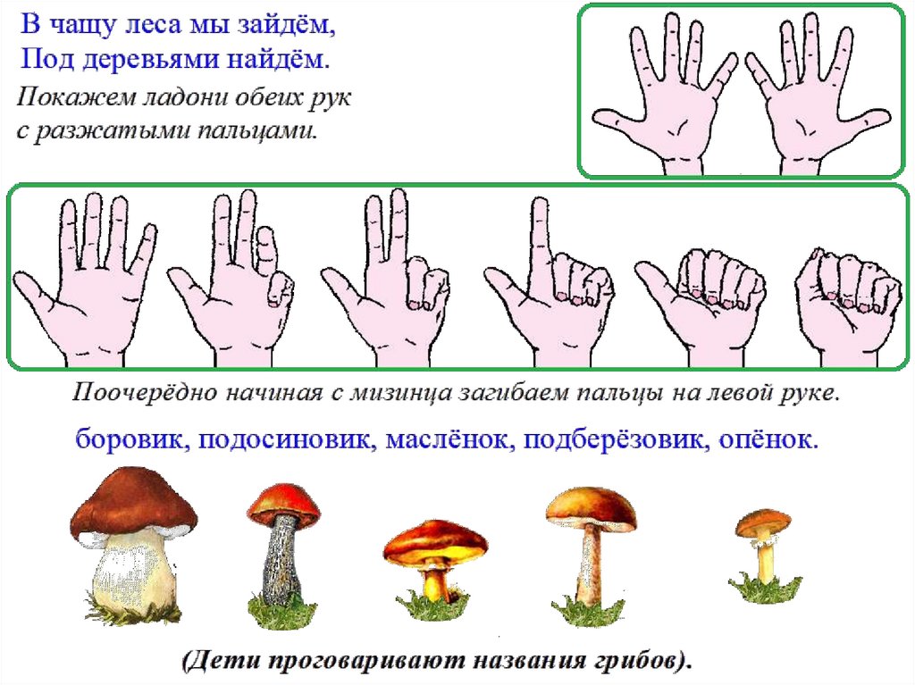 Грибы подготовительная группа презентация