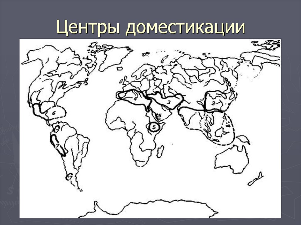 Центры происхождения культурных растений контурная карта. Центры доместикации животных. Центры происхождения одомашнивания животных. Центры происхождения домашних животных карта. Центры доместикации растений.