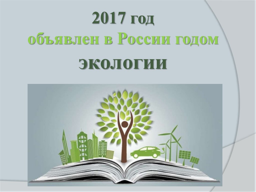 Году экологии 2017. Какой год объявлен годом экологии России. 2017 Год объявлен России годом экологии. Как ты думаешь, почему.