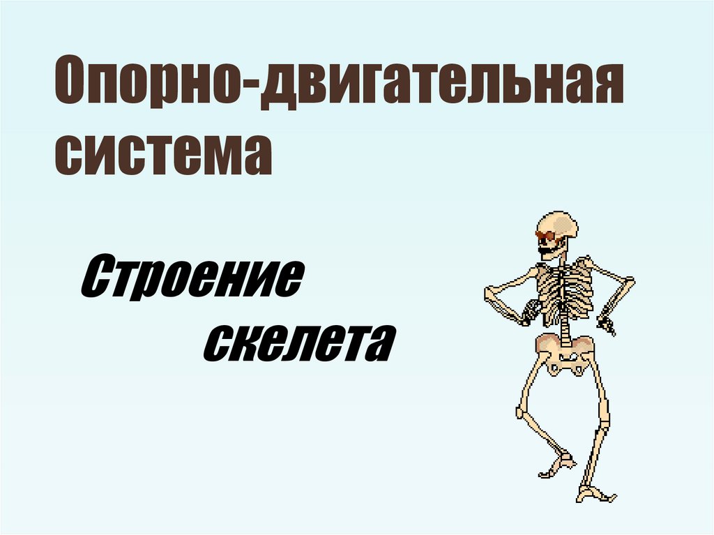 Скелет презентации это