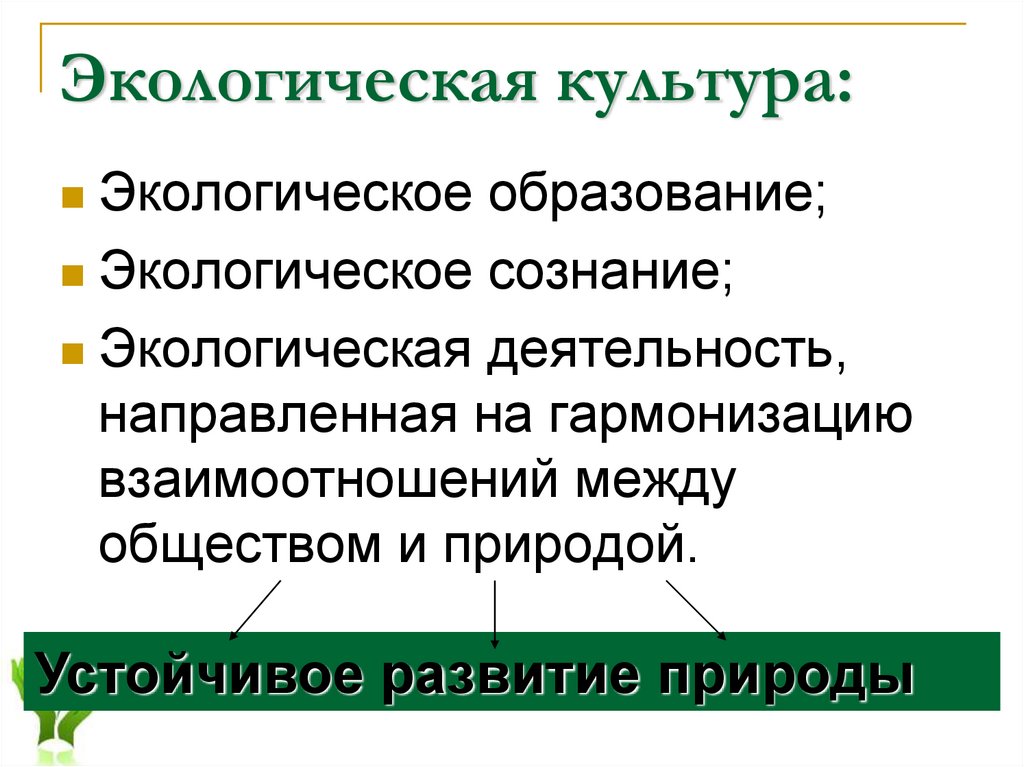 Экология и развитие общества. Экологическая культура. Рискологическая культура. Этологическая культура. Понятие экологическая культура.