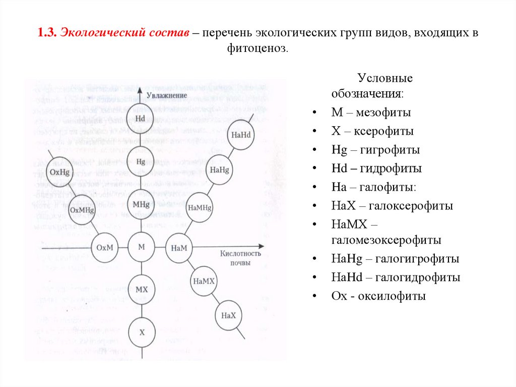 Смена фитоценоза схема