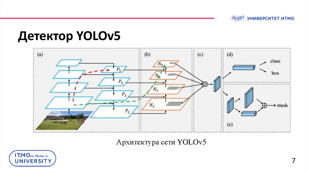 Детектор YOLOv5