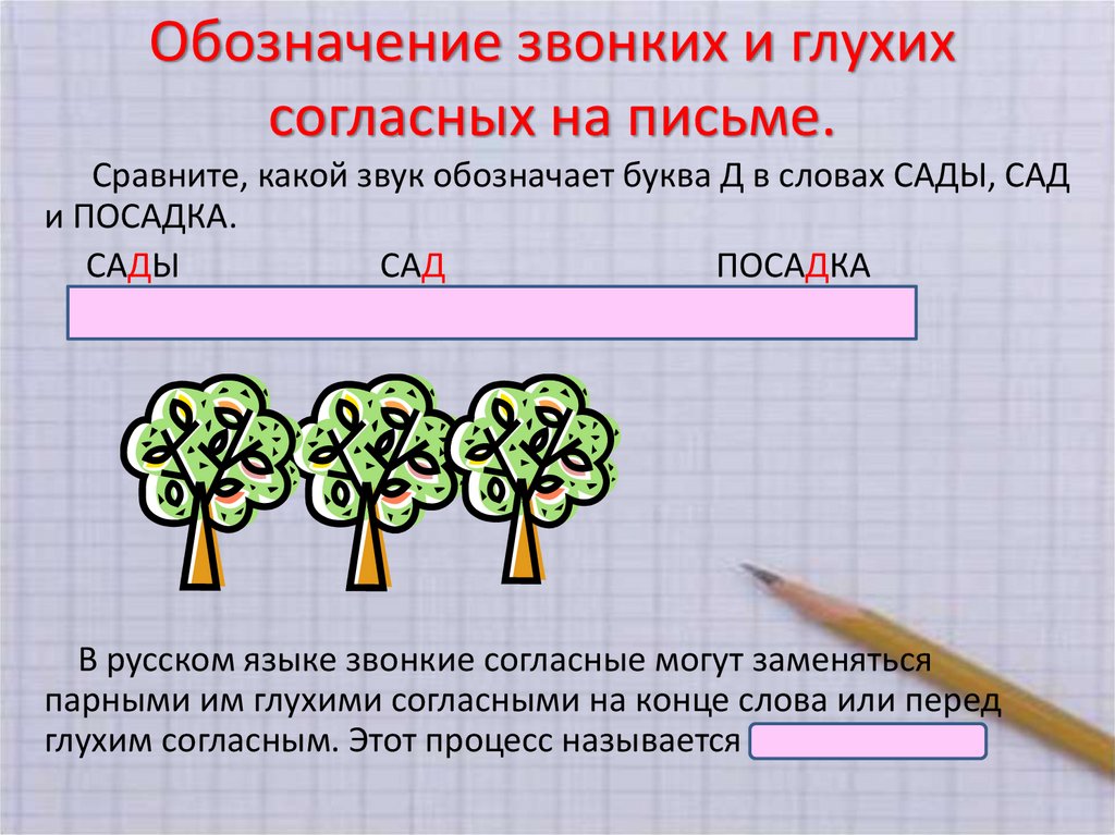 Как обозначаются глухие и звонкие согласные на схеме