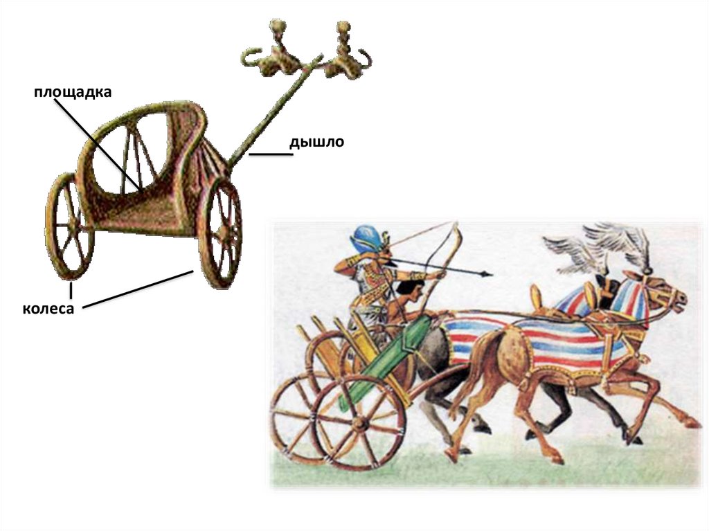 Дышло египет. Боевая колесница это в древнем Египте 5 класс. Что такое дышло в древнем Египте. Строение боевой колесницы Египта. Дышло колесницы.