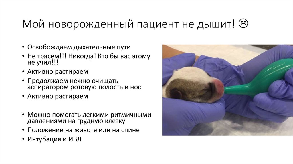 Мой новорожденный пациент не дышит! 