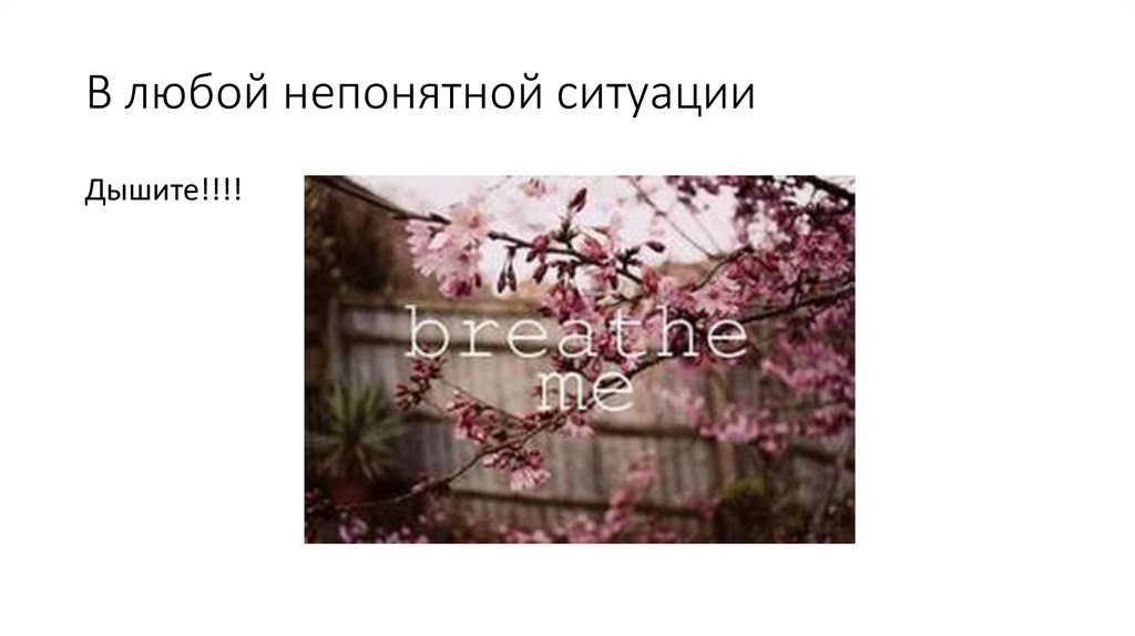 В любой непонятной ситуации