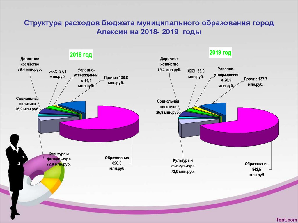 Структура расходов бюджета муниципального образования город Алексин на 2018- 2019 годы