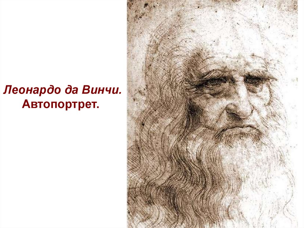 Леонардо да винчи сайт телеграмм. Леонардо да Винчи. Леонардо да Винчи автопортрет. Леонардо да Винчи в старости. Леонардо да Винчи автопортрет Графика.