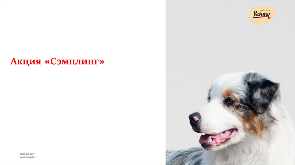 суперсэмплинг что это