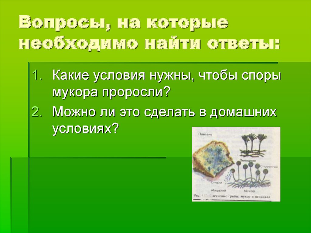 Какие условия нужны ответы