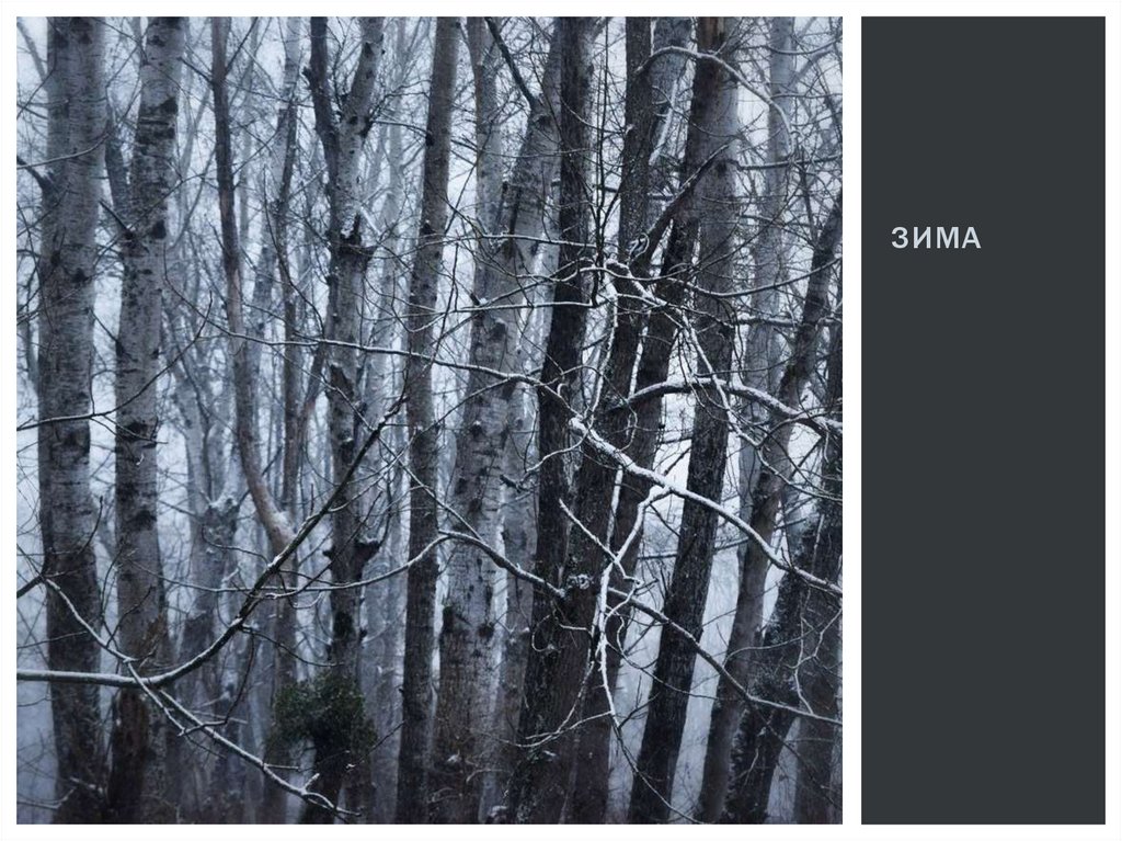 зима
