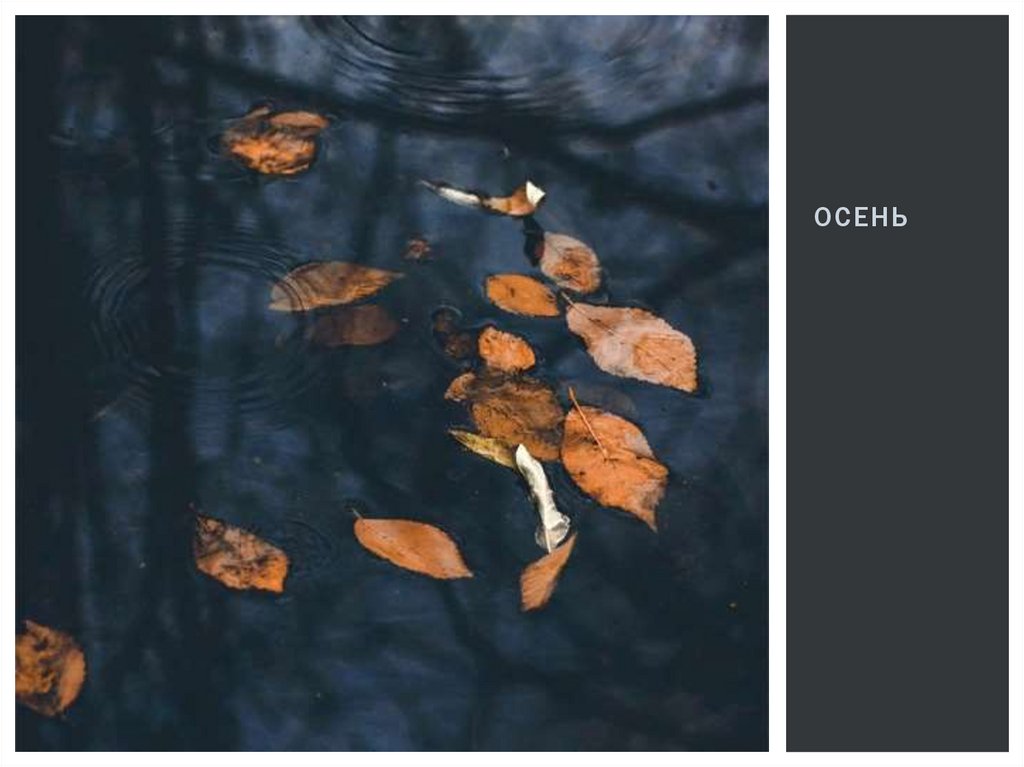 осень