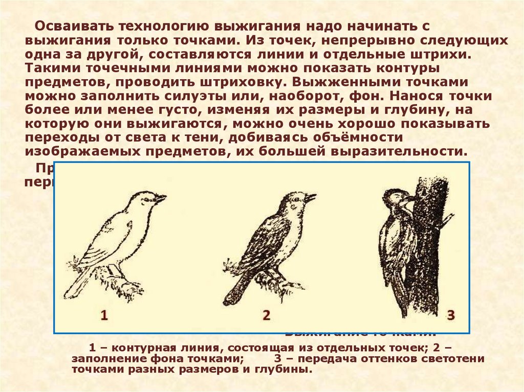 Презентация выжигание по дереву 9 класс