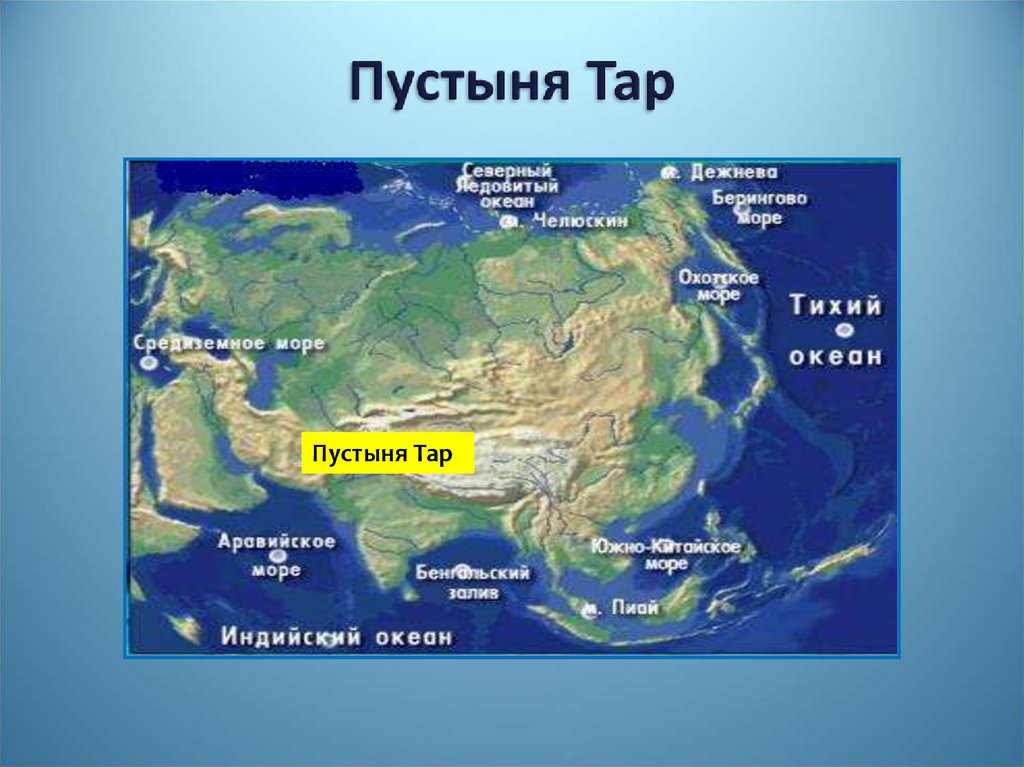 Пустыня Тар