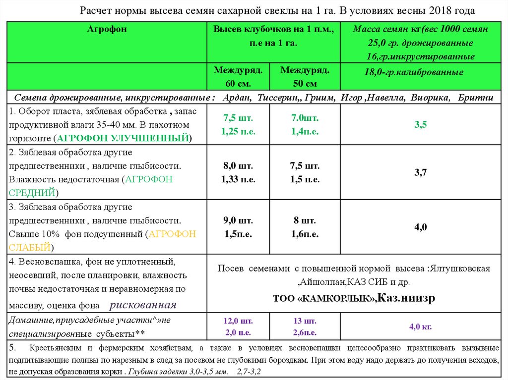 Благоприятные условия для выращивания сахарной свеклы