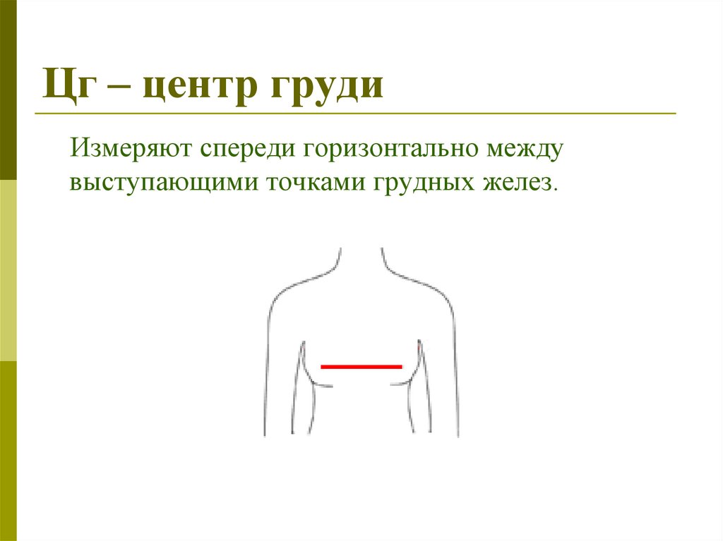 Центр груди. ПГ положение выступающей точки грудных желез.