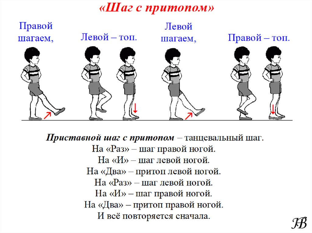 365 занятий шаг за шагом 365 уроков нарисуем шаг за шагом все на свете