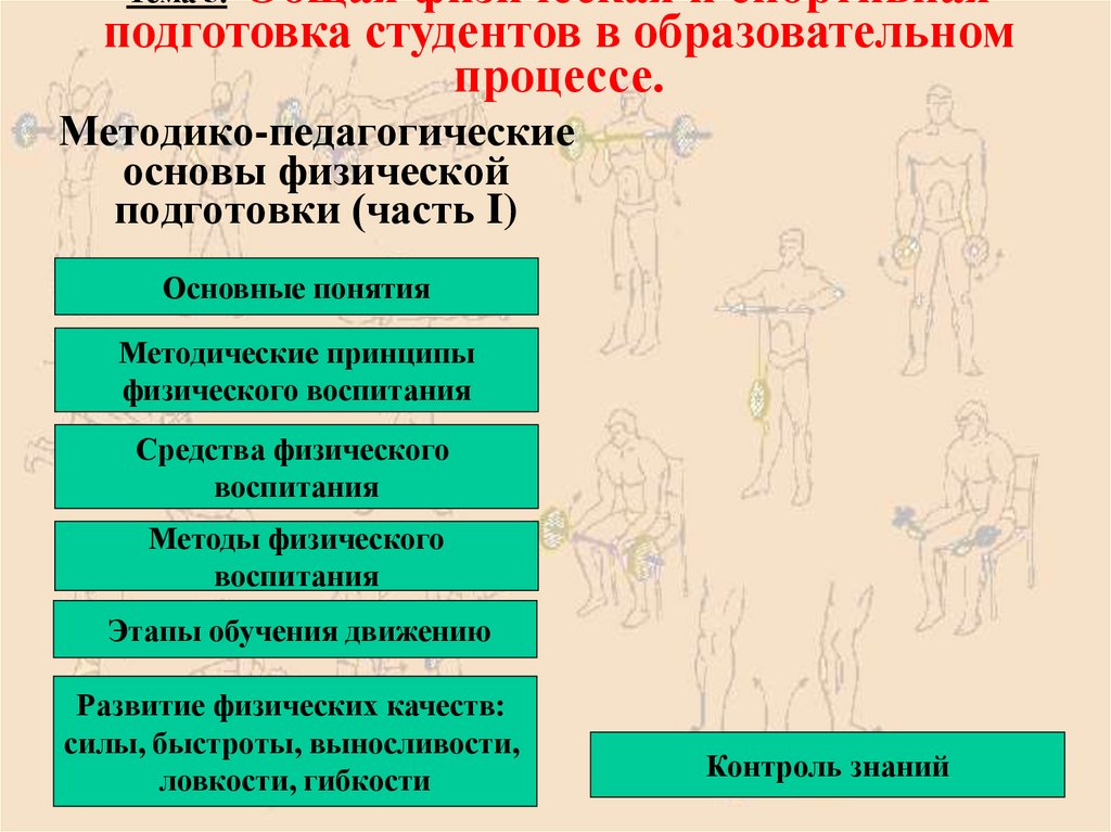 Основы и принципы физической культуры