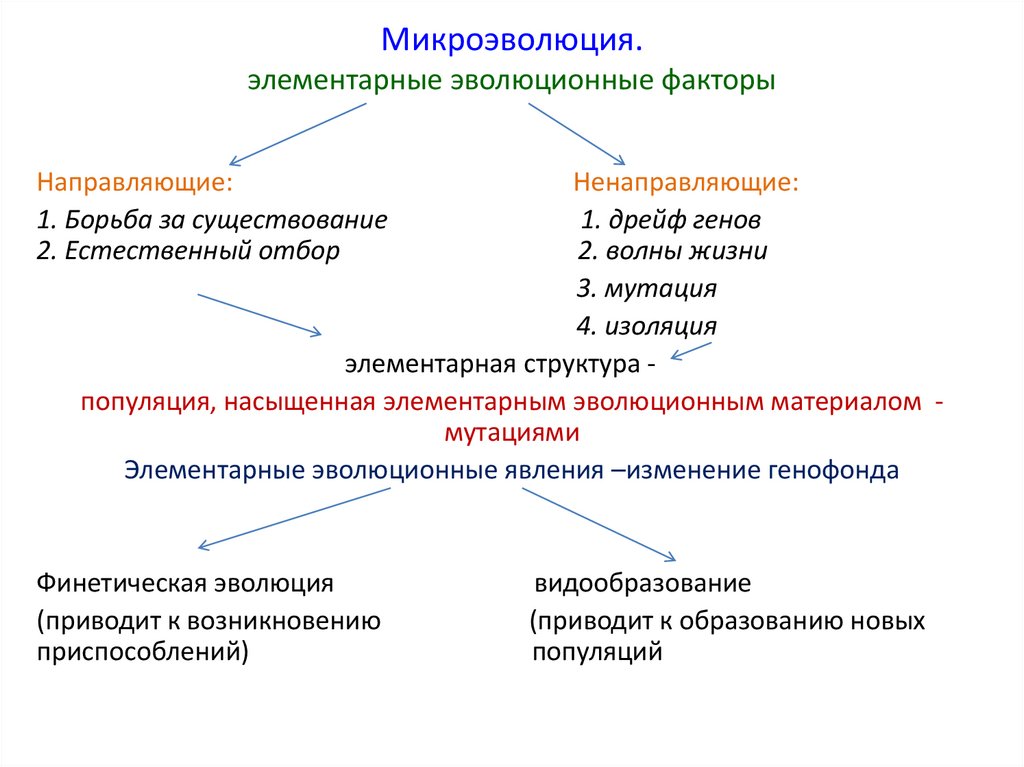 Схема многообразие элементарных эволюционных факторов