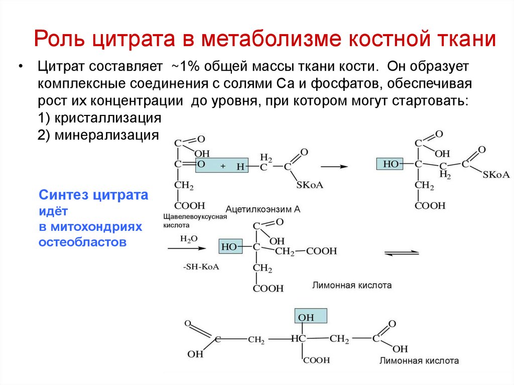 Обмен веществ в костной ткани. Роль цитрата в костной ткани. Минерализация костной ткани биохимия.