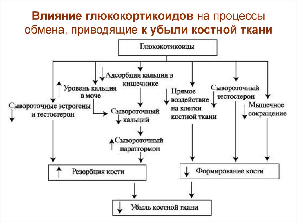 Обмен веществ в костной ткани