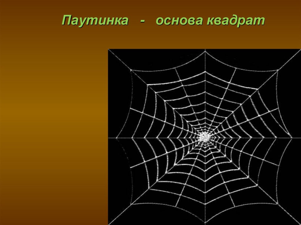 Схема какого скрещивания изображена на рисунке в каких случаях и с какой целью используется