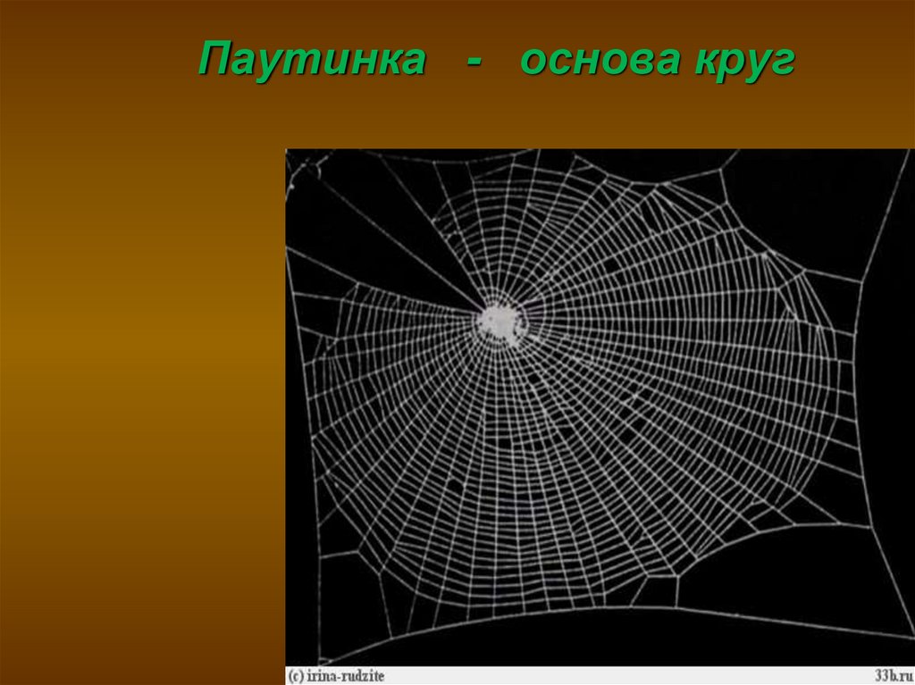Программа паутинка презентация