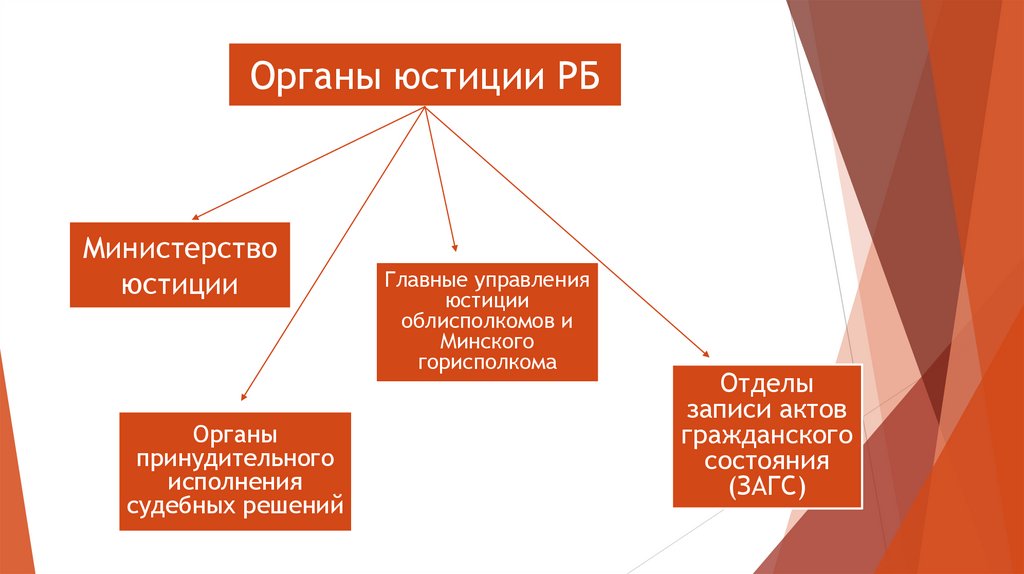 Органы министерства юстиции