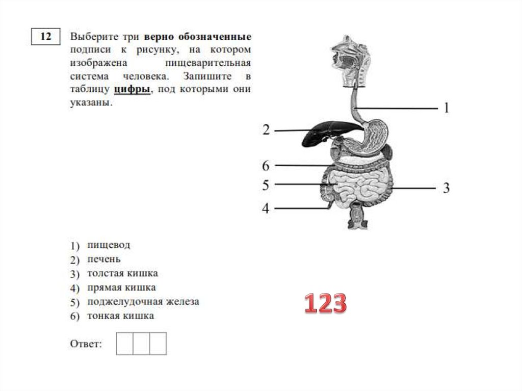 Открытый вариант биология. Разбор открытого варианта.